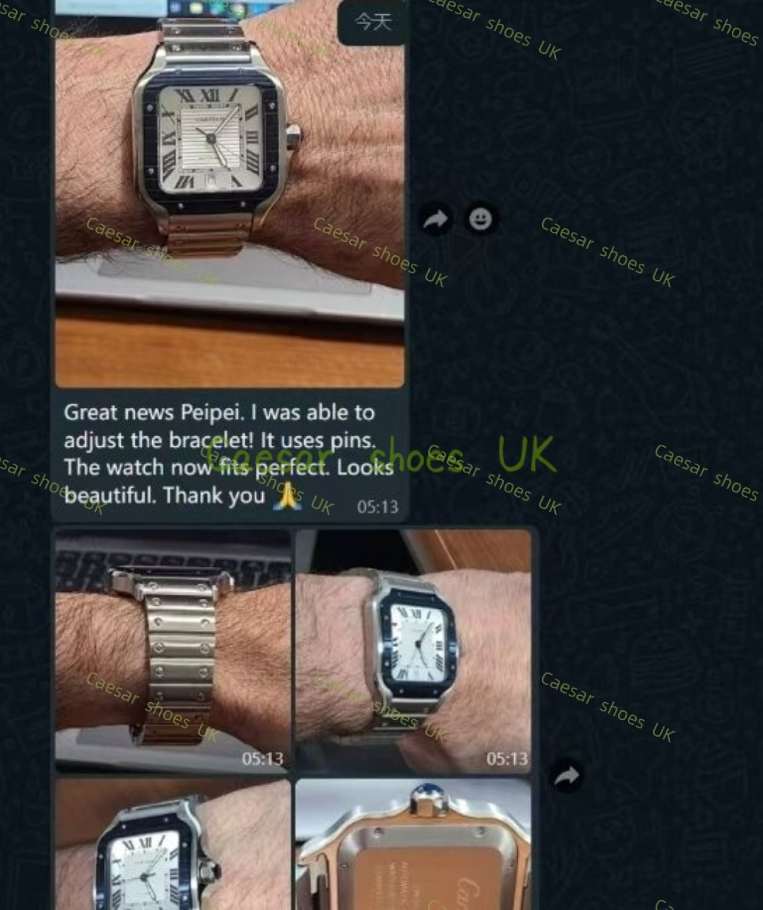 Cartier Santos